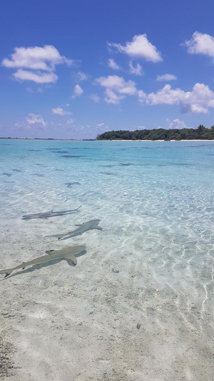 Chez Taia Et Vero Tiputa Luaran gambar